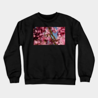 Busy as a Bee - Spring at Magpie Springs by Avril Thomas Crewneck Sweatshirt